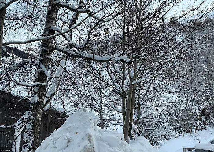 An Der Gondel - Haus Thalgau سالباخ هينترغليم